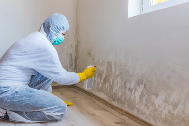 Licensed Mold Testing service in Selma, NC - WQB Mold Removal