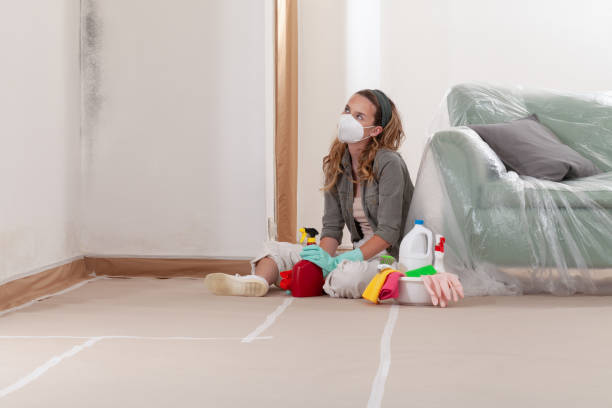 Reliable Mold Testing contractor in Selma, NC by WQB Mold Removal